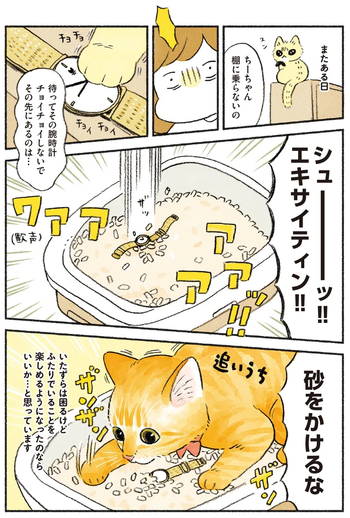 『茶トラのやっちゃん1〜3』 browntabbycat28_3.webp