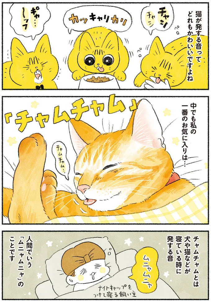 『茶トラのやっちゃん1〜3』 browntabbycat29_1.webp