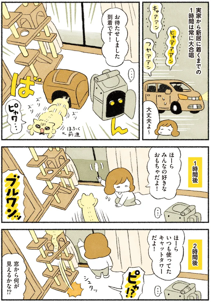 『茶トラのやっちゃん1〜3』 browntabbycat30_3.webp