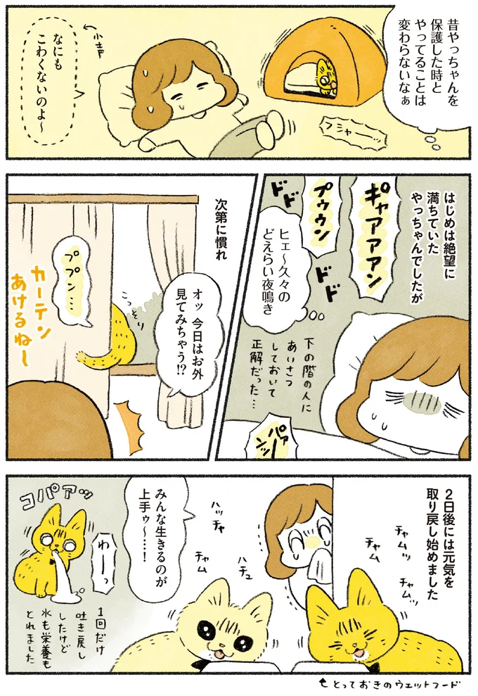 『茶トラのやっちゃん1〜3』 browntabbycat31_3.webp