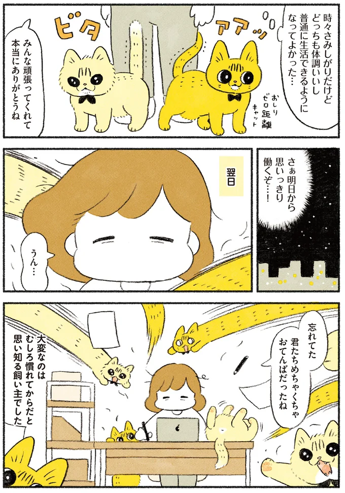 『茶トラのやっちゃん1〜3』 browntabbycat31_4.webp