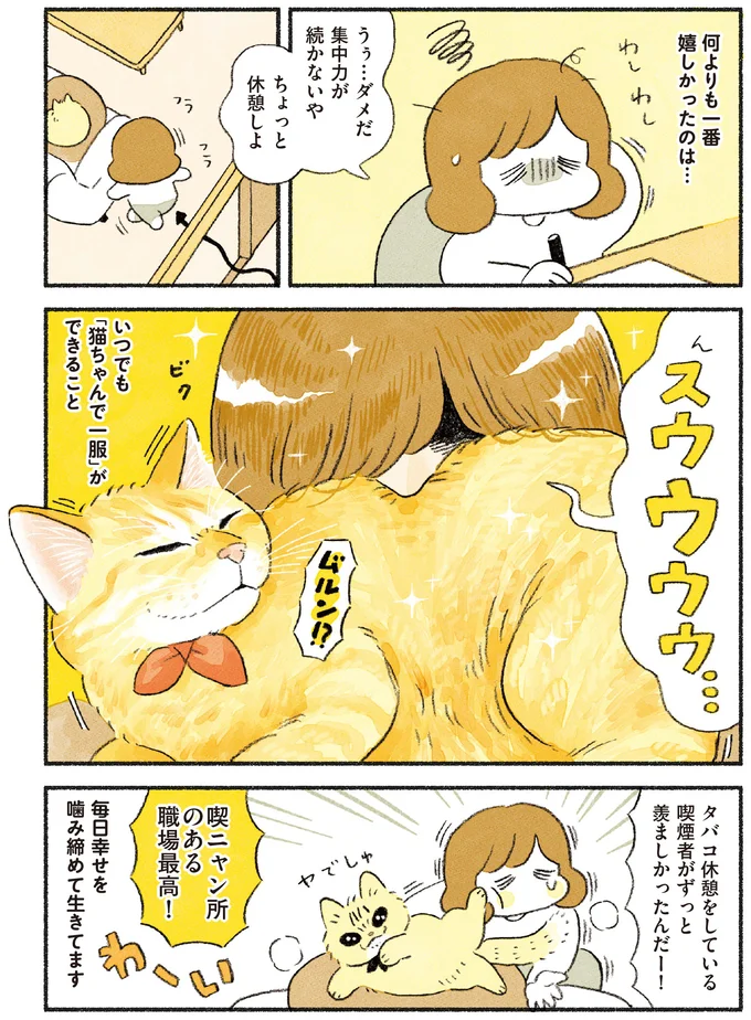 『茶トラのやっちゃん1〜3』 browntabbycat32_3.webp