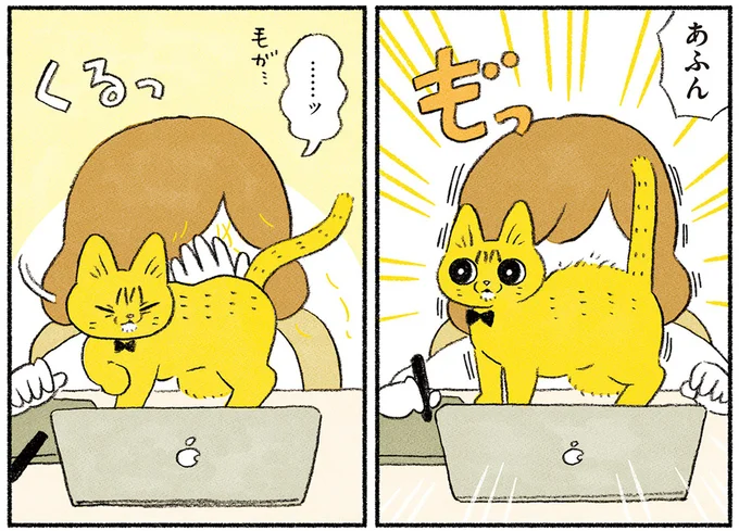 猫たちに仕事を邪魔される！ 在宅勤務でペット飼ってる人、どうやって働いてるの？／茶トラのやっちゃん3