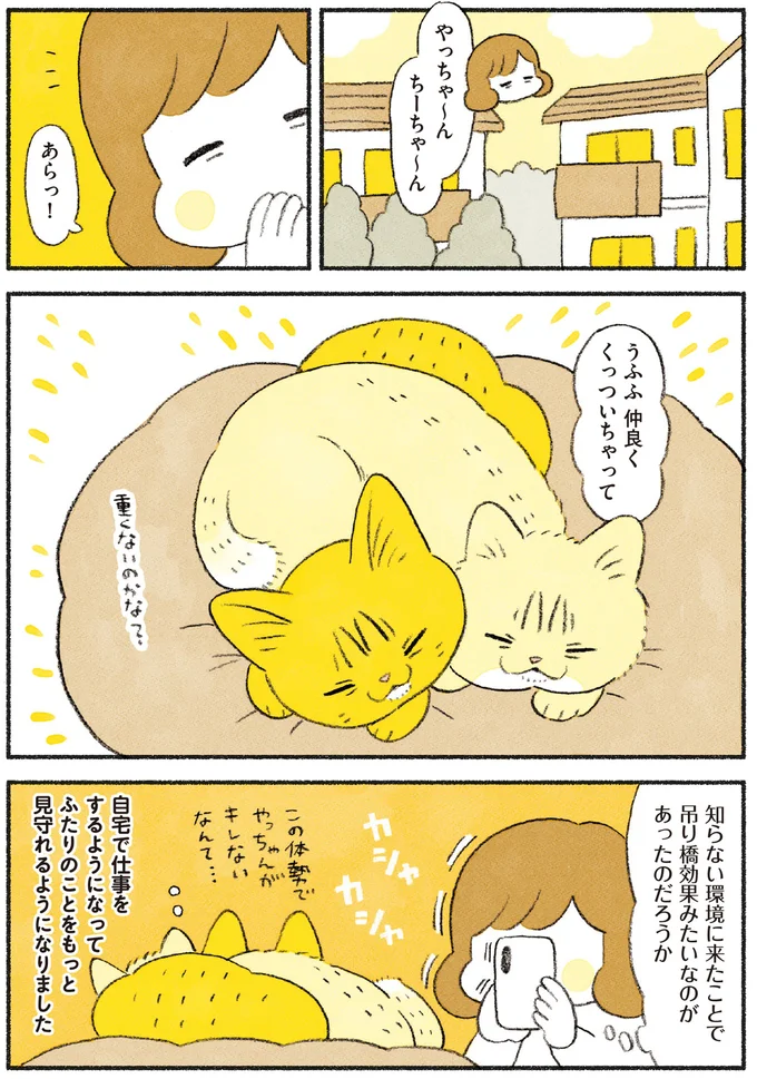 『茶トラのやっちゃん1〜3』 browntabbycat34_1.webp