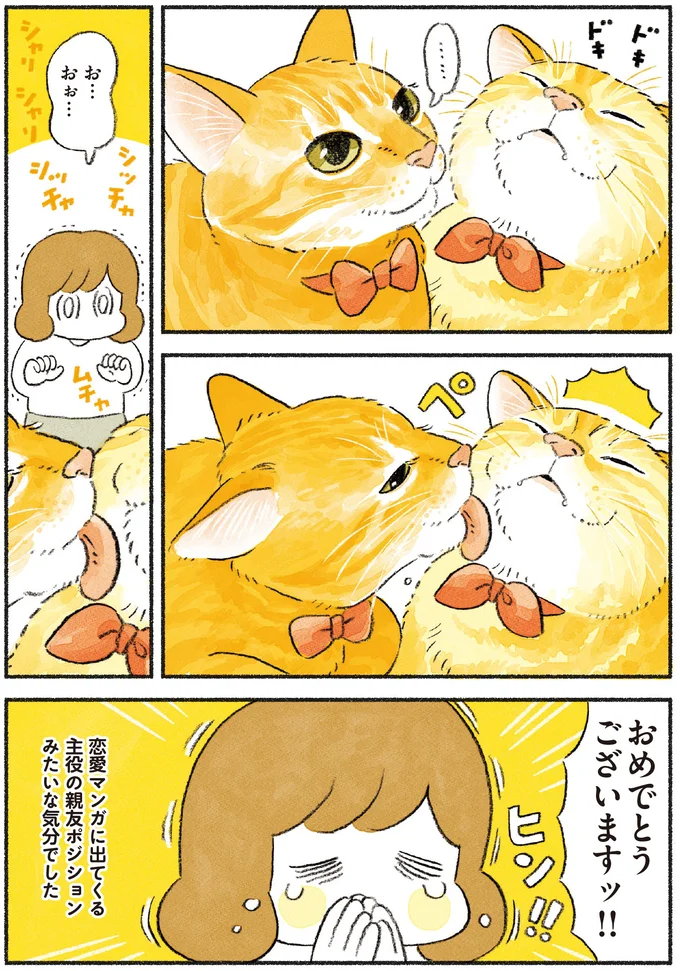 『茶トラのやっちゃん1〜3』 browntabbycat34_4.webp