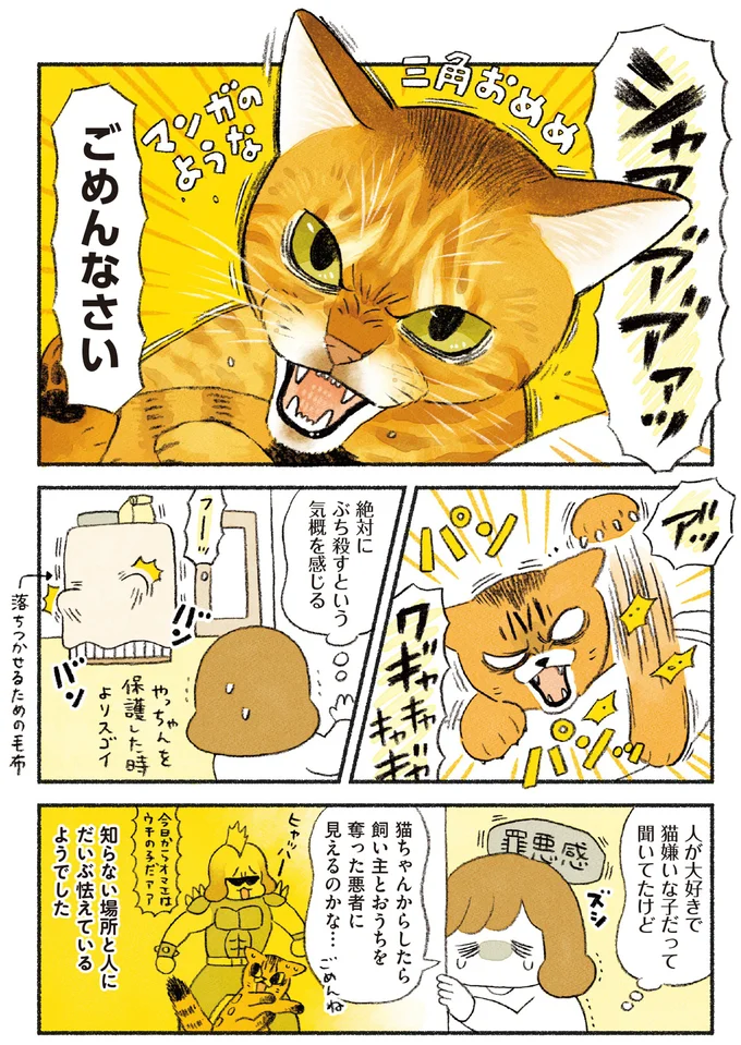 『茶トラのやっちゃん1〜3』 browntabbycat35_3.webp