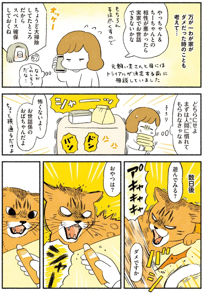 『茶トラのやっちゃん1〜3』 browntabbycat35_4.webp