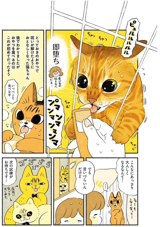 『茶トラのやっちゃん1〜3』 browntabbycat35_5.webp