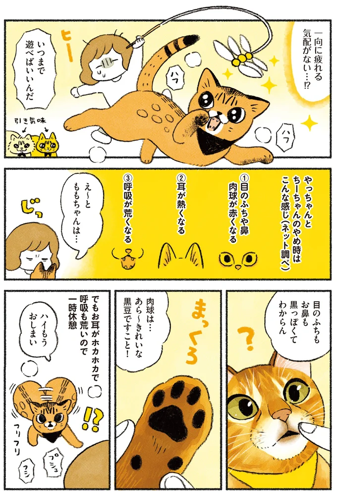 『茶トラのやっちゃん1〜3』 browntabbycat37_2.webp