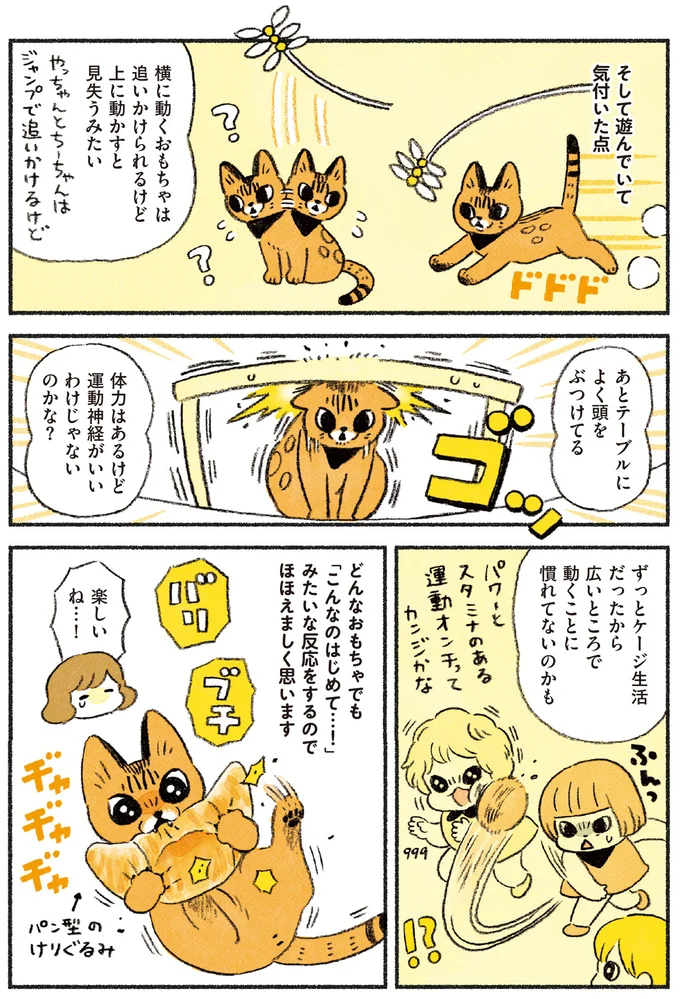 『茶トラのやっちゃん1〜3』 browntabbycat37_3.webp