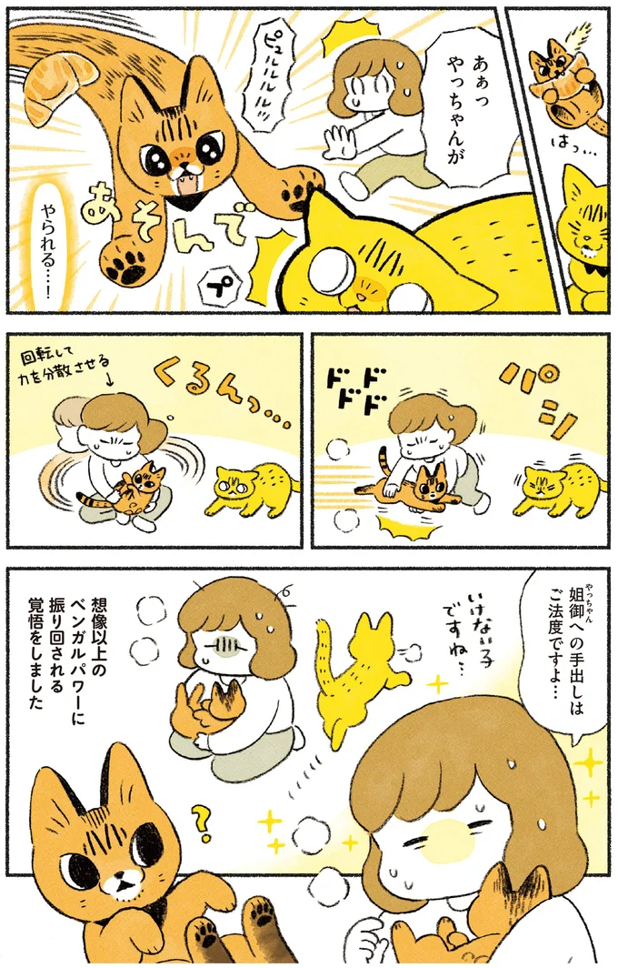 『茶トラのやっちゃん1〜3』 browntabbycat37_4.webp