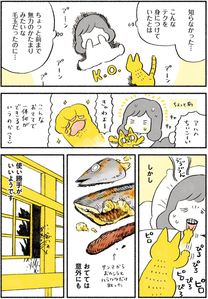 「猫の手」のかわいさを知ってる？ 立てばクリームパン、返せば宝石...そして時には／茶トラのやっちゃん browntabbycat3_3.webp