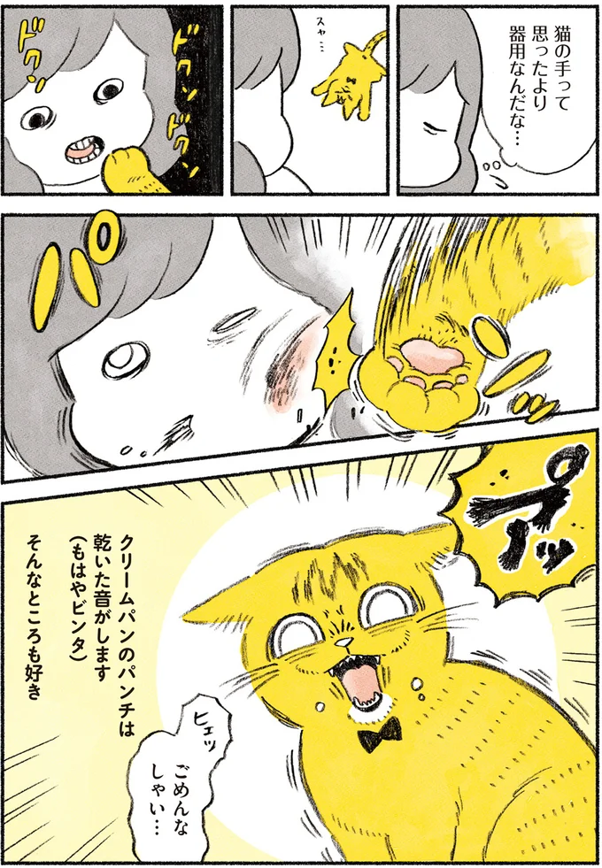 「猫の手」のかわいさを知ってる？ 立てばクリームパン、返せば宝石...そして時には／茶トラのやっちゃん browntabbycat3_4.webp