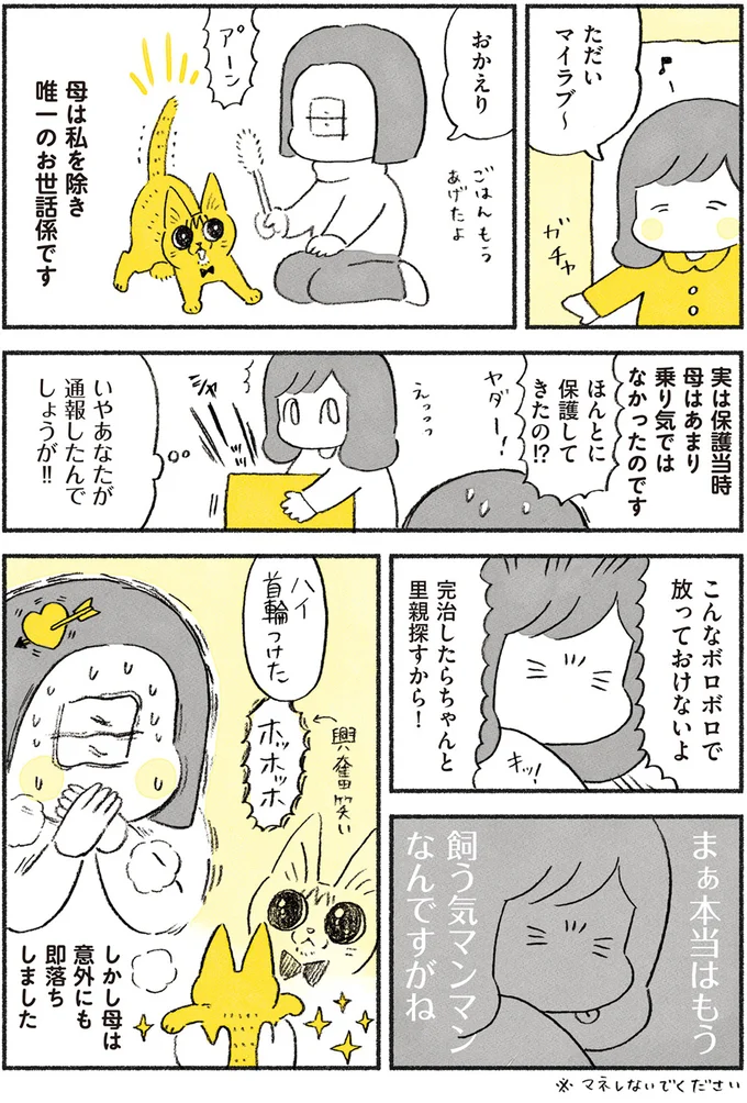 保護した子猫にすぐメロメロになった母。「孫にオヤツあげすぎ問題」発生!?/茶トラのやっちゃん browntabbycat4_1.webp