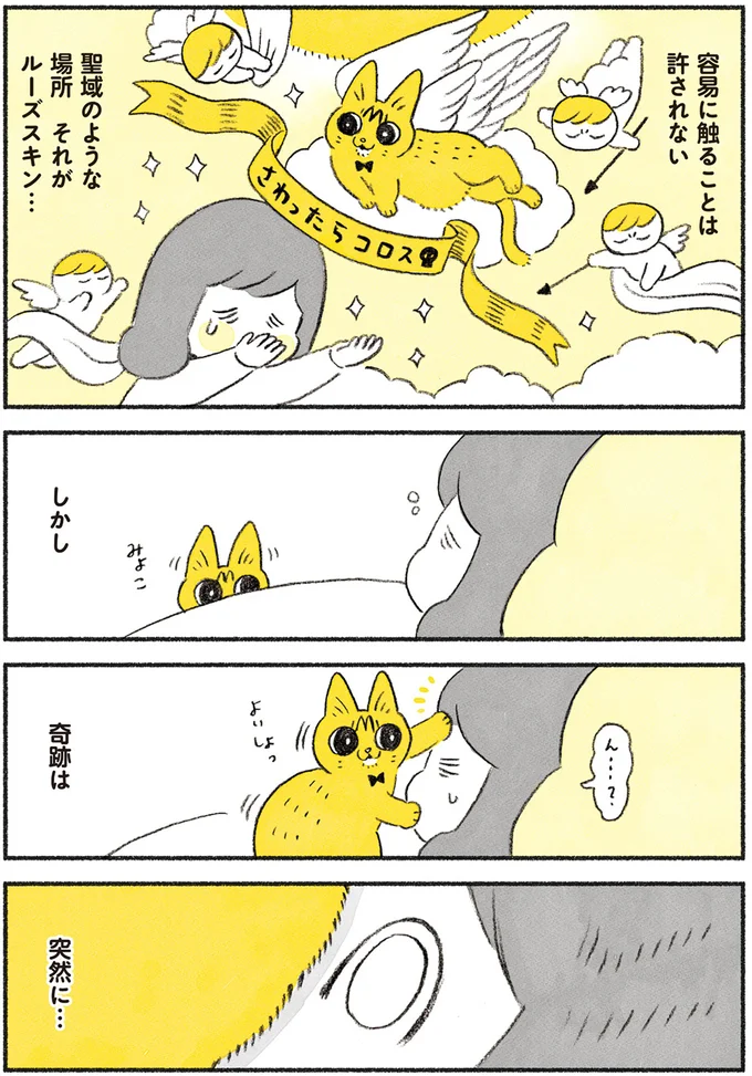 猫の「プルプルなお腹」が愛らしすぎて...触りたいと願い続けて起きた奇跡／茶トラのやっちゃん browntabbycat5_3.webp