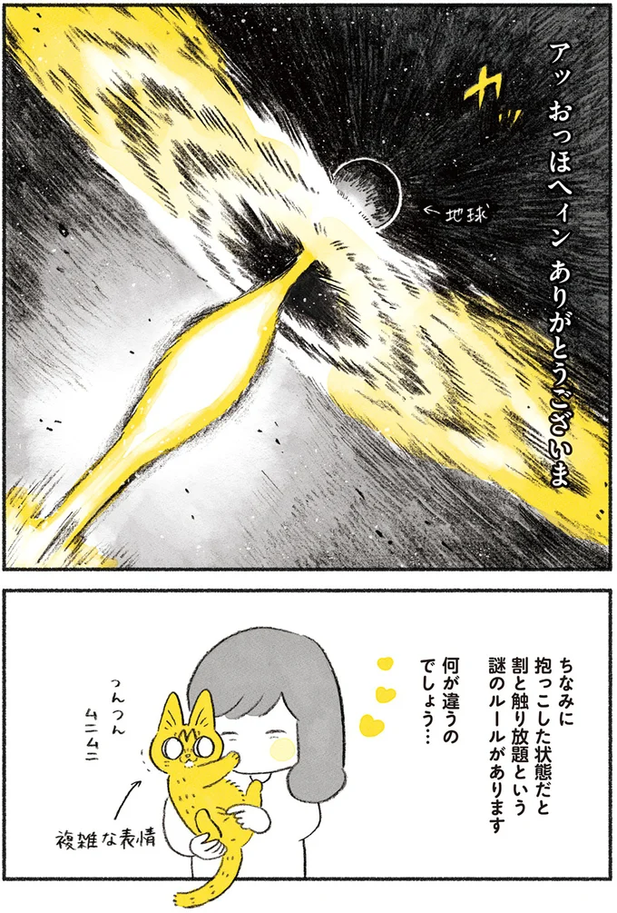 『茶トラのやっちゃん1〜3』 browntabbycat5_4.webp