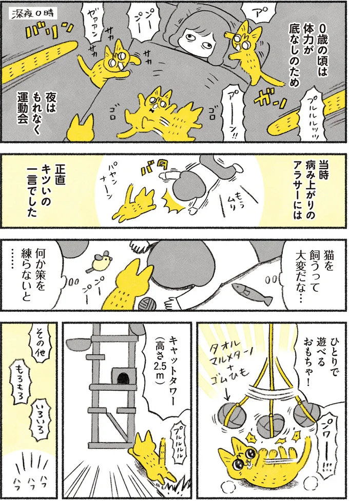 『茶トラのやっちゃん1〜3』 browntabbycat6_2.webp