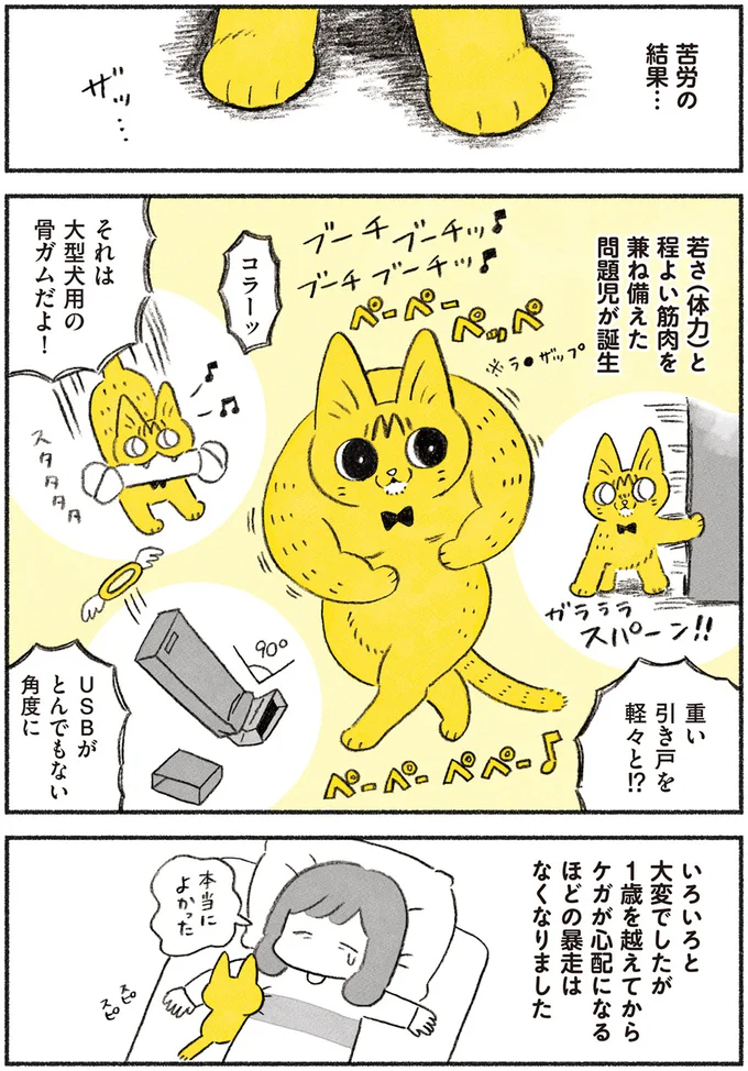 『茶トラのやっちゃん1〜3』 browntabbycat6_3.webp