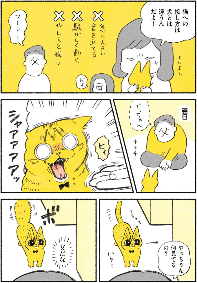 『茶トラのやっちゃん1〜3』 browntabbycat7_3.webp