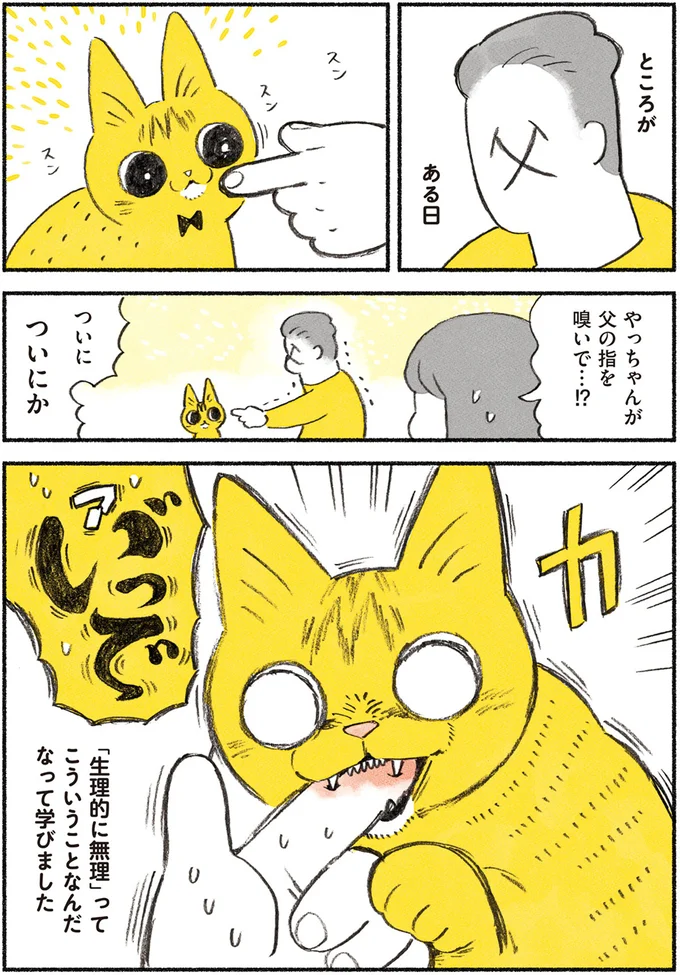『茶トラのやっちゃん1〜3』 browntabbycat7_4.webp