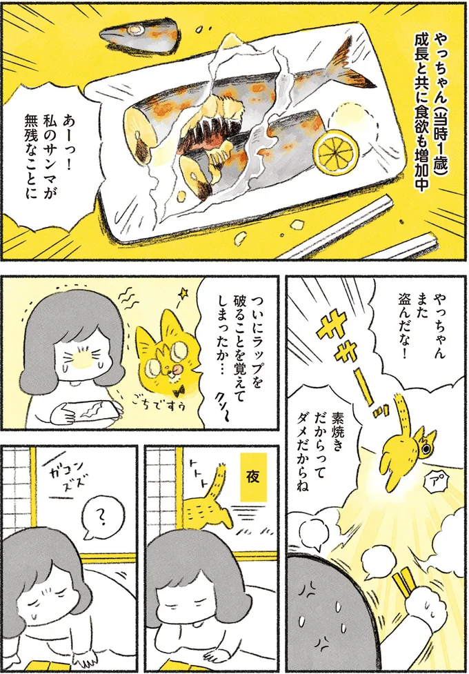 『茶トラのやっちゃん1〜3』 browntabbycat8_1.webp