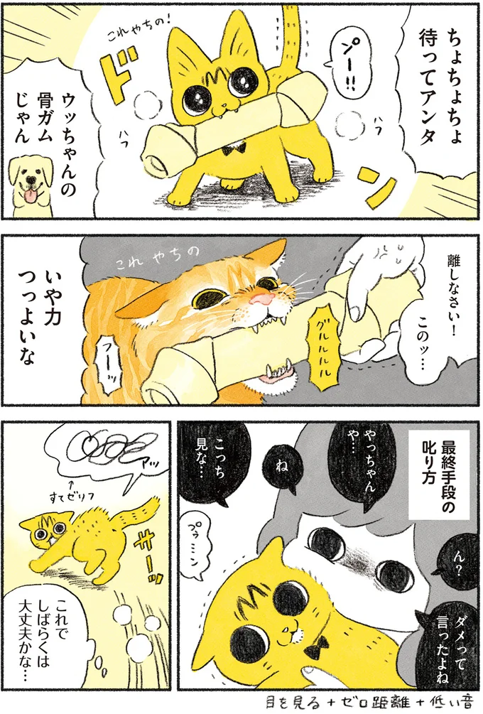 『茶トラのやっちゃん1〜3』 browntabbycat8_2.webp