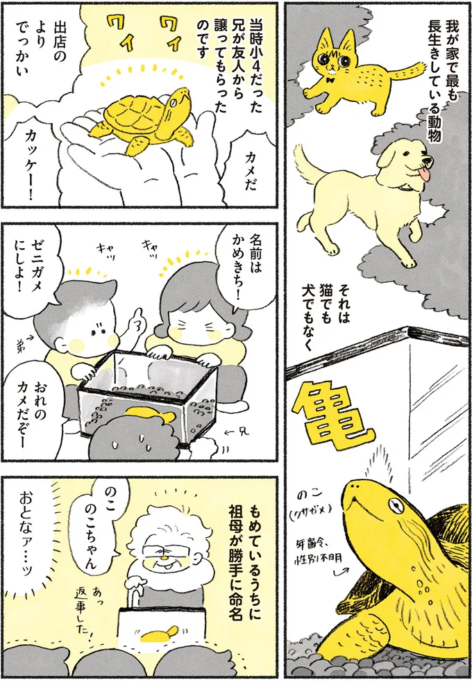 『茶トラのやっちゃん1〜3』 browntabbycat9_1.webp