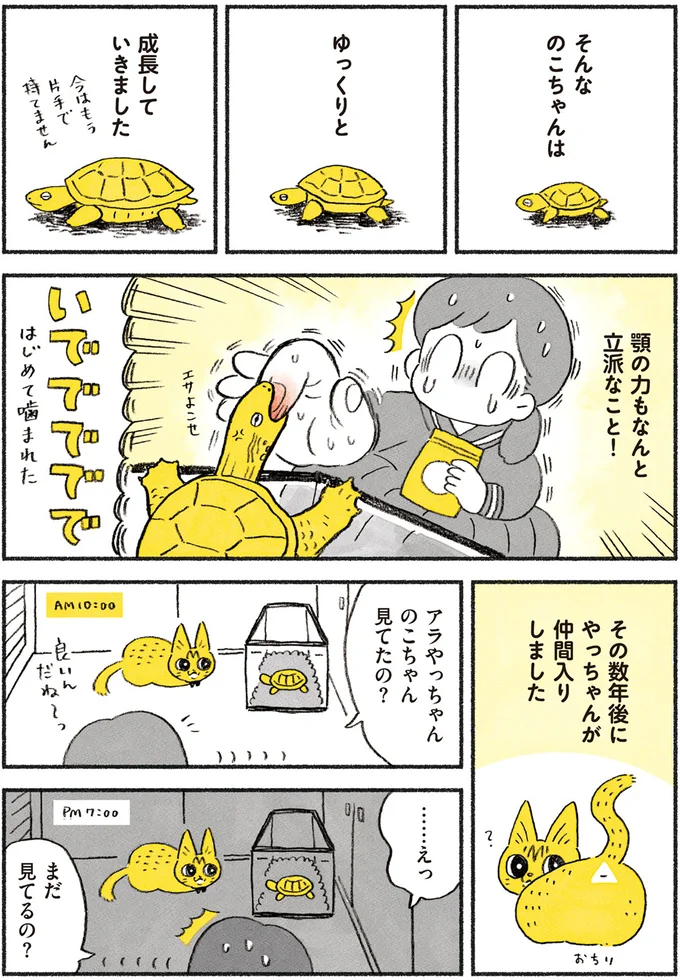 『茶トラのやっちゃん1〜3』 browntabbycat9_2.webp