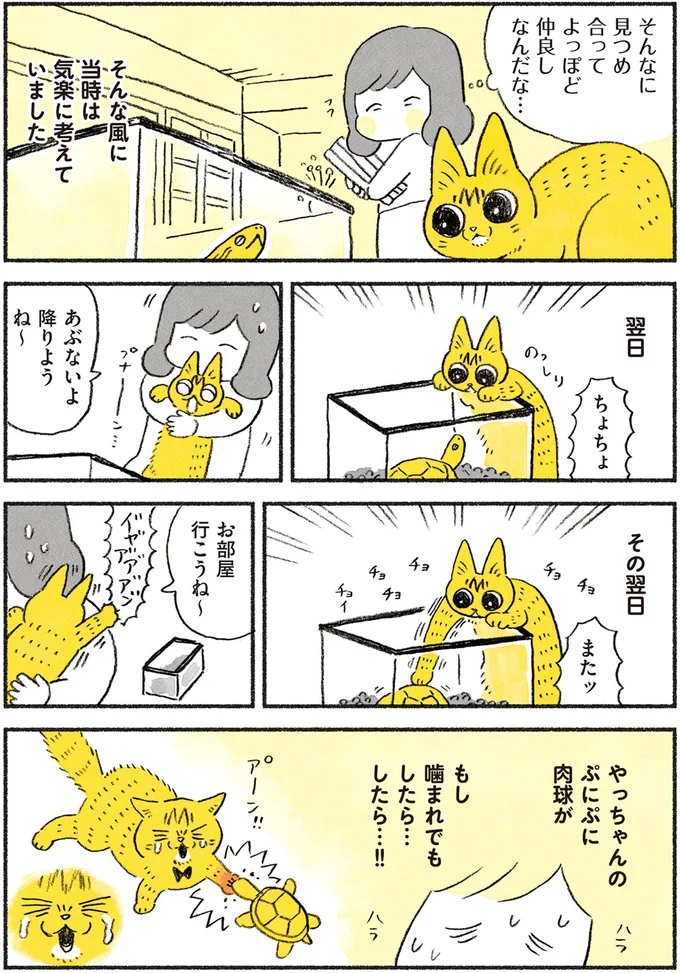 『茶トラのやっちゃん1〜3』 browntabbycat9_3.webp