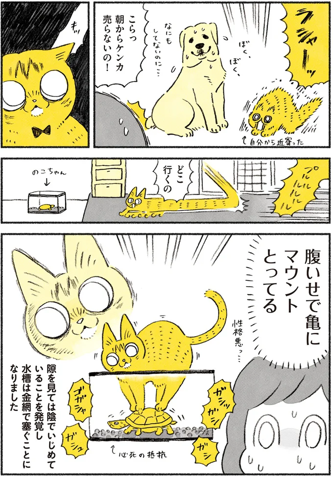 『茶トラのやっちゃん1〜3』 browntabbycat9_4.webp