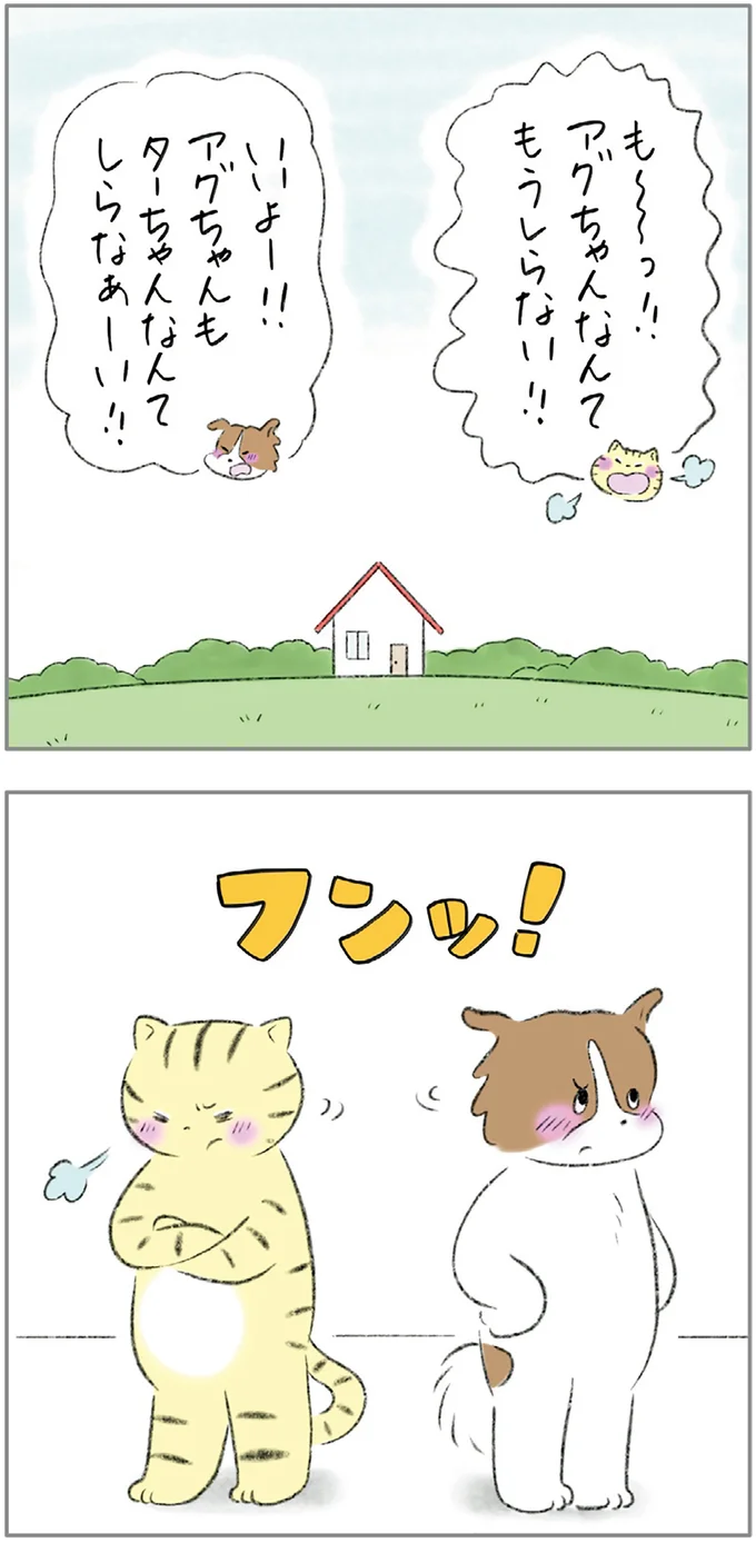 大の仲良し猫&犬がケンカ!? 口もきかずにふて寝したら.../元ノラ猫と元保護犬、ふたりは親友 05-01.png