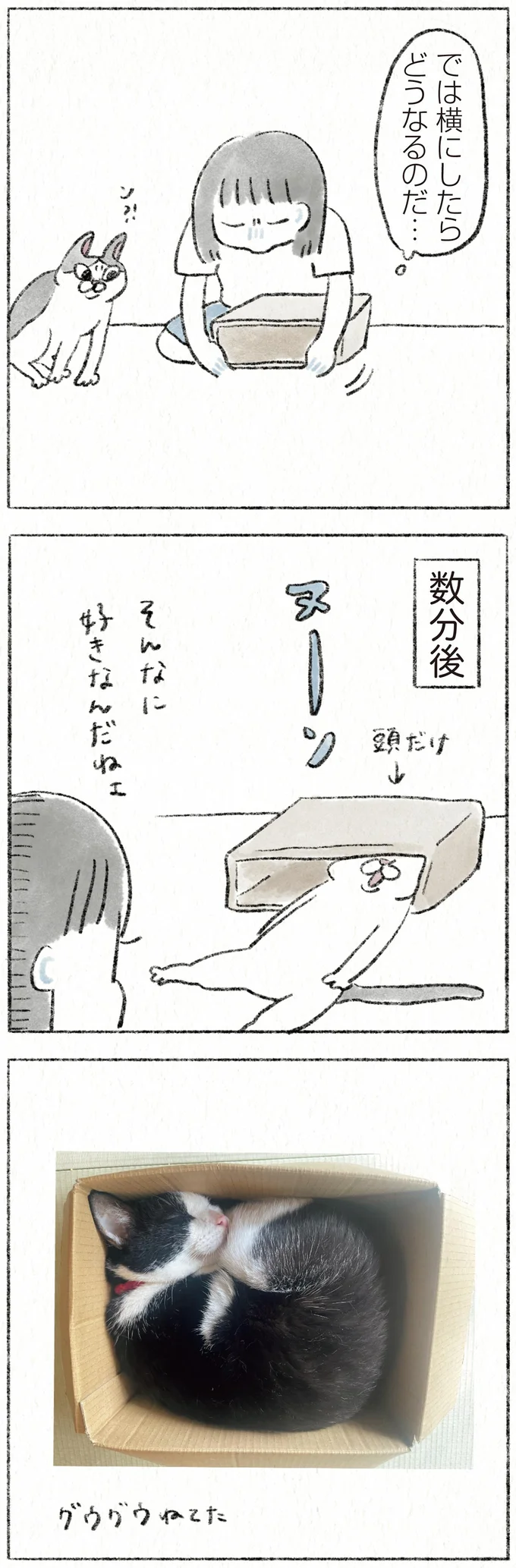 『うちの猫は今日も塩対応』 42.webp