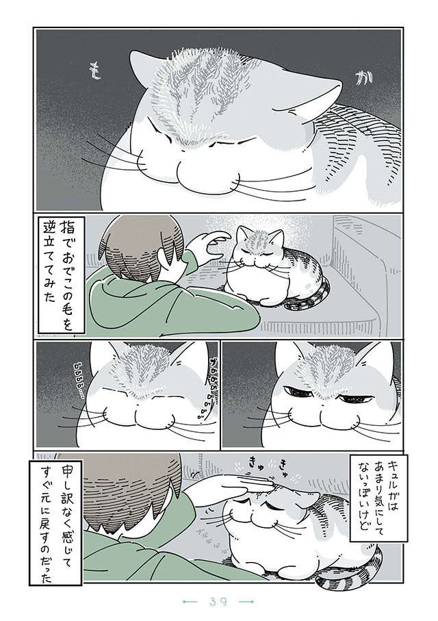 愛猫の頭をなでると、なぜか「これ」をやりたくなる不思議／夜は猫といっしょ3 yoruhanekoto3_39.jpg