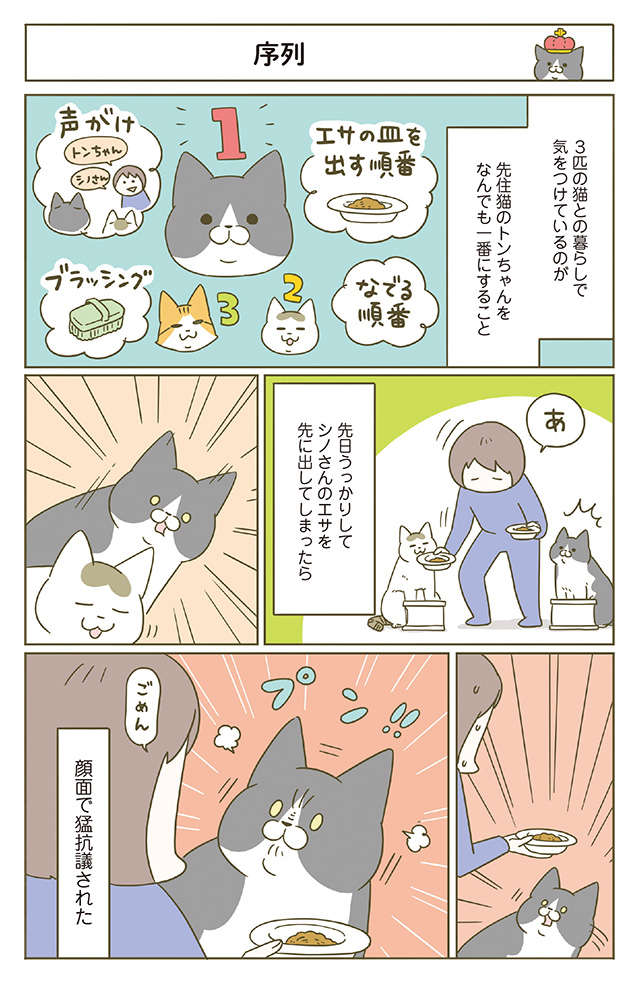 「飼い主ちょろい」猫たちの見事すぎる「連携プレー」／うちの猫がまた変なことしてる。6 11.jpg