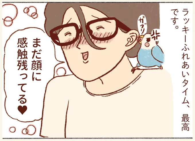 『プジェ日記！ 幸せを運ぶインコのみっちゃん』 104.webp