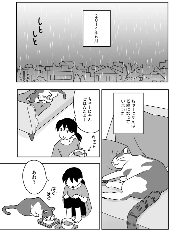 カリカリを食べなくなった15歳の猫。それが「きざし」だった／世界一幸せな飼い主にしてくれた猫 04-01.png