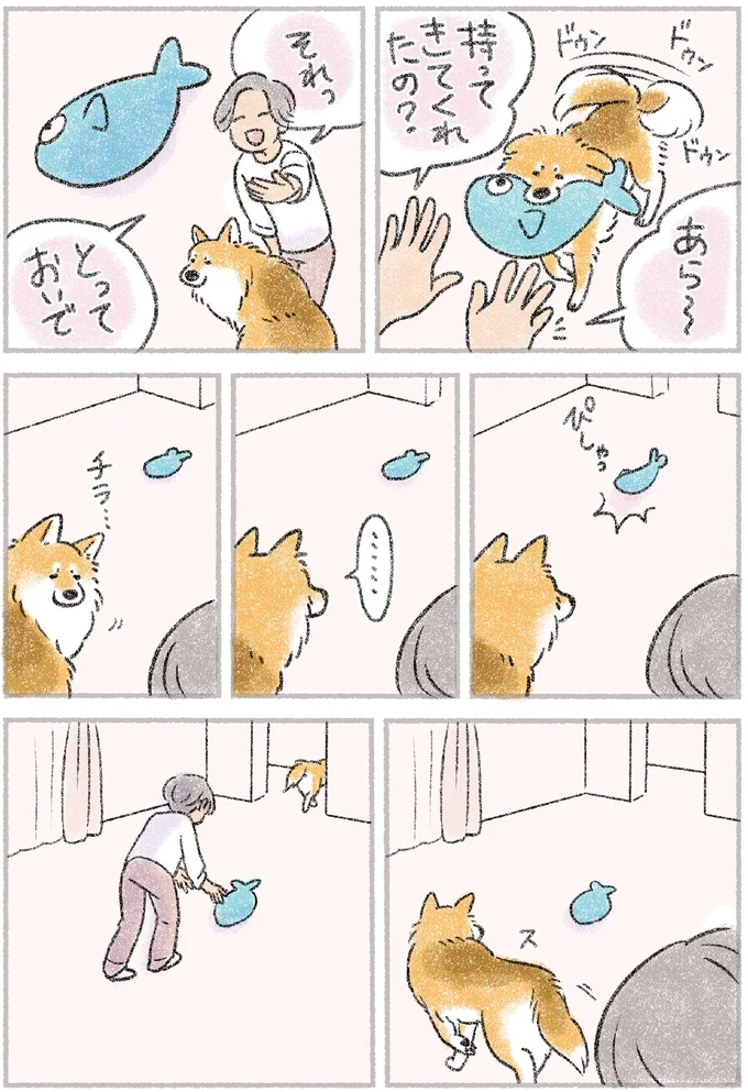 そこで寝るんかい！ 自由気ままな愛犬もなかの寝床へのこだわり／犬を揉む 11.png