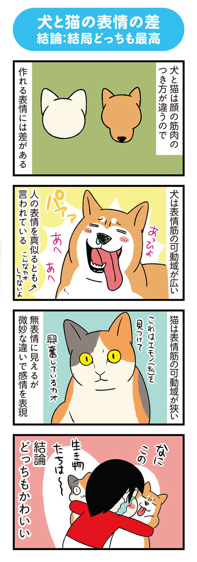 【結論：どっちもかわいい】満面の笑みもできる表情豊かな柴犬と、無表情な三毛猫／うちう猫と柴犬 13.jpg