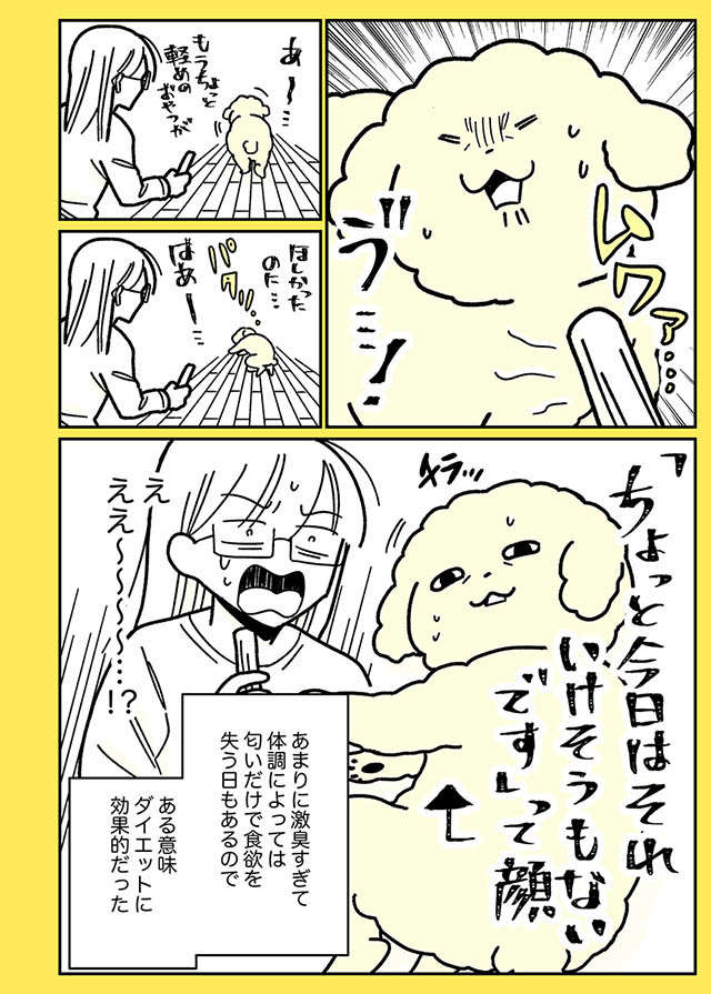 「これ臭すぎない!? 」激臭おやつを愛犬にあげてみたら...嘘でしょ？／うちのトイプーがアイドルすぎる。 toipu50_04.jpg