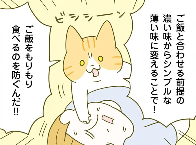 食べすぎをやめたいなら元から。ごはんが進む濃い味から卒業すべし／ネコちゃんのゆるゆるダイエット塾