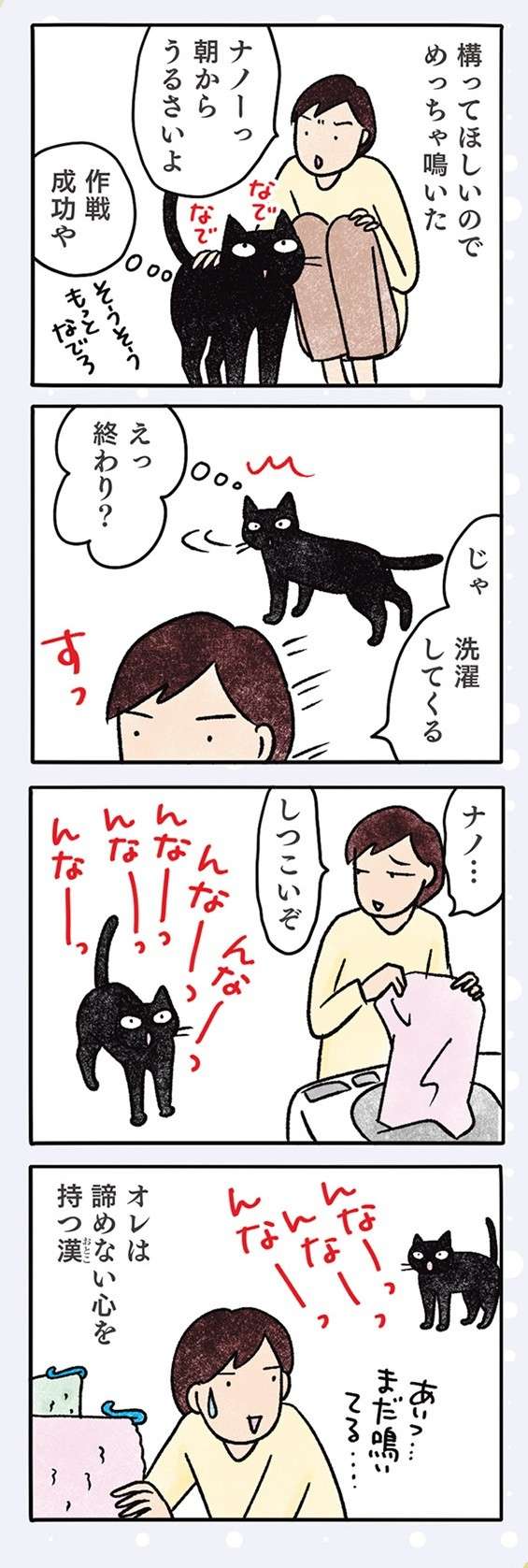 うちの猫はヒザに乗せられるのが嫌。でも「こんな時」は自分から乗ってくる／黒猫ナノとキジシロ猫きなこ kuroneko_nano12-5.jpg