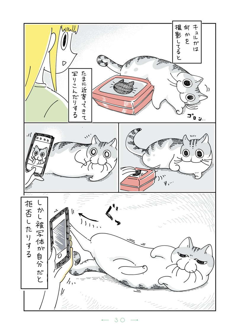 写真に写りこんでくる愛猫。でも、自分を被写体にされると...なぜこうなる？／夜は猫といっしょ4 yoruhanekoto4_CC2021_re-30.jpg