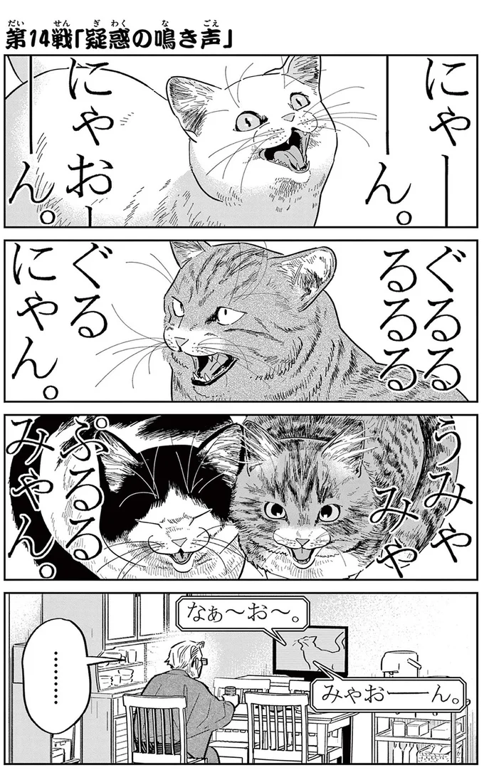 野良猫の鳴き声を聞いてみたい！ あの手この手と仕掛けるものの...／オヤジとにゃん吉 16214519.webp