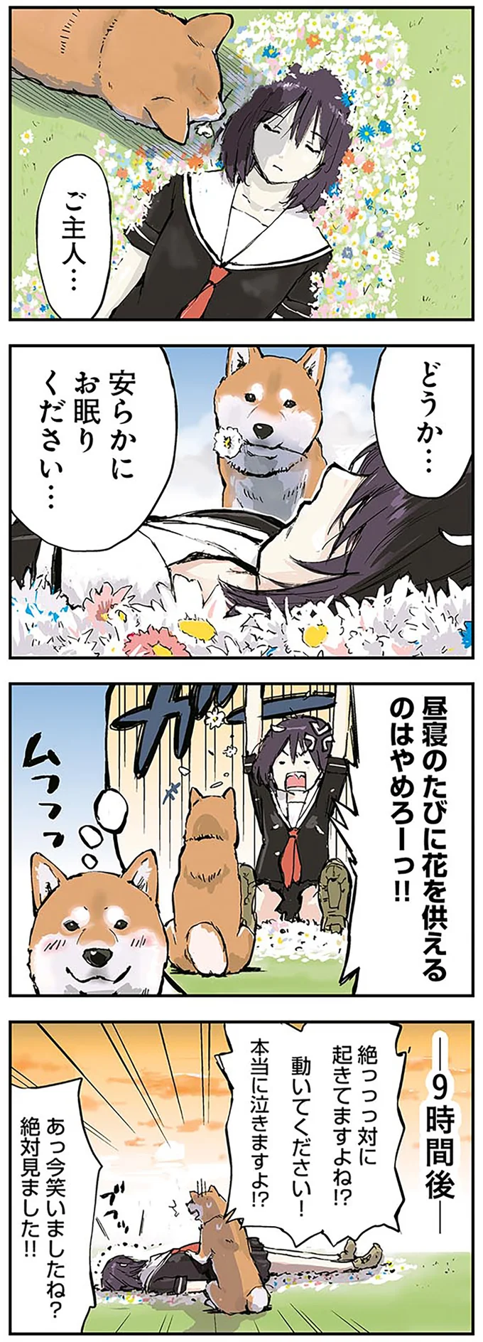 柴犬は一番のツンデレ？ 終末世界を旅する女子高生と理屈っぽい柴犬／世界の終わりに柴犬と 2.png