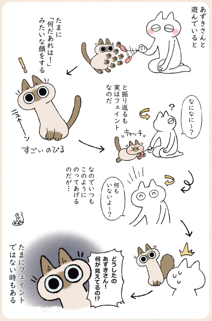 春らしいフリルつきの靴を買った飼い主。それを見た愛猫が...あー！／シャム猫あずきさんは世界の中心 06-03.png