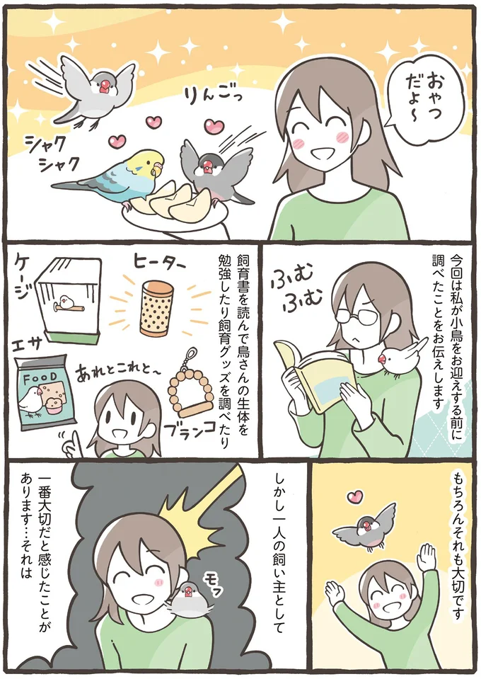 かかりつけの病院に家族の同意。小鳥と暮らすための必須項目／トリ扱い説明書 21.png