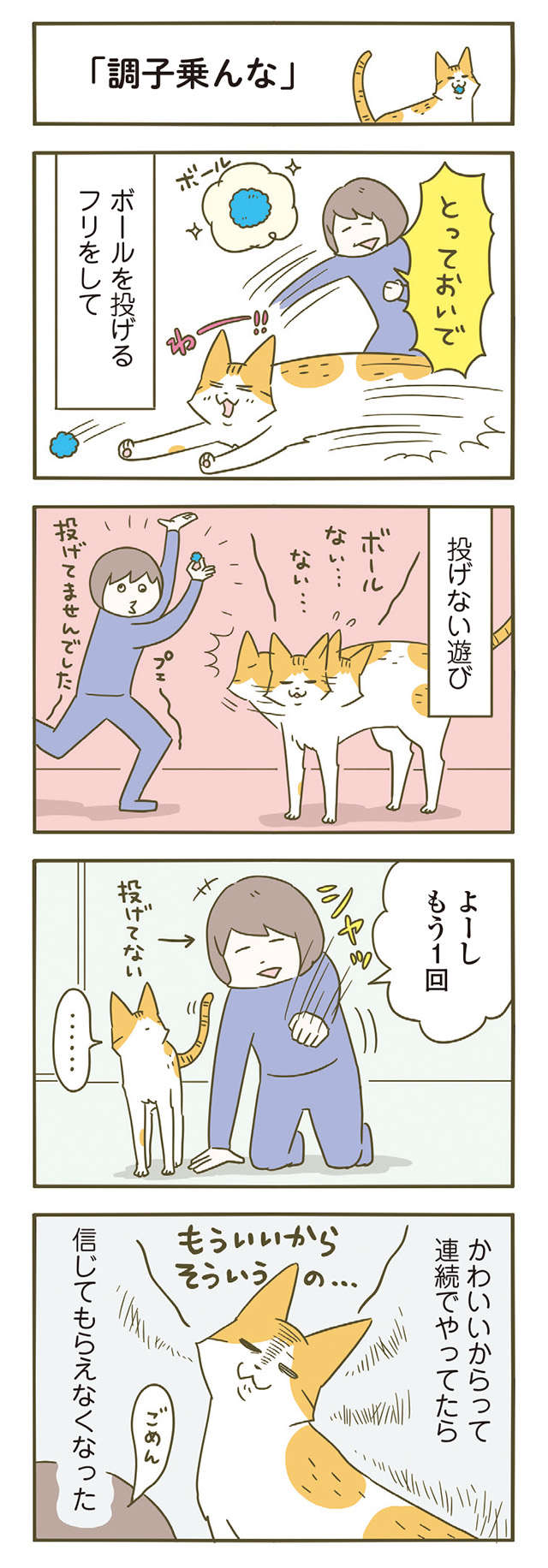 「もういいから」不信感まるだしの顔をする猫。調子乗ってごめん...／うちの猫がまた変なことしてる。6 11.jpg