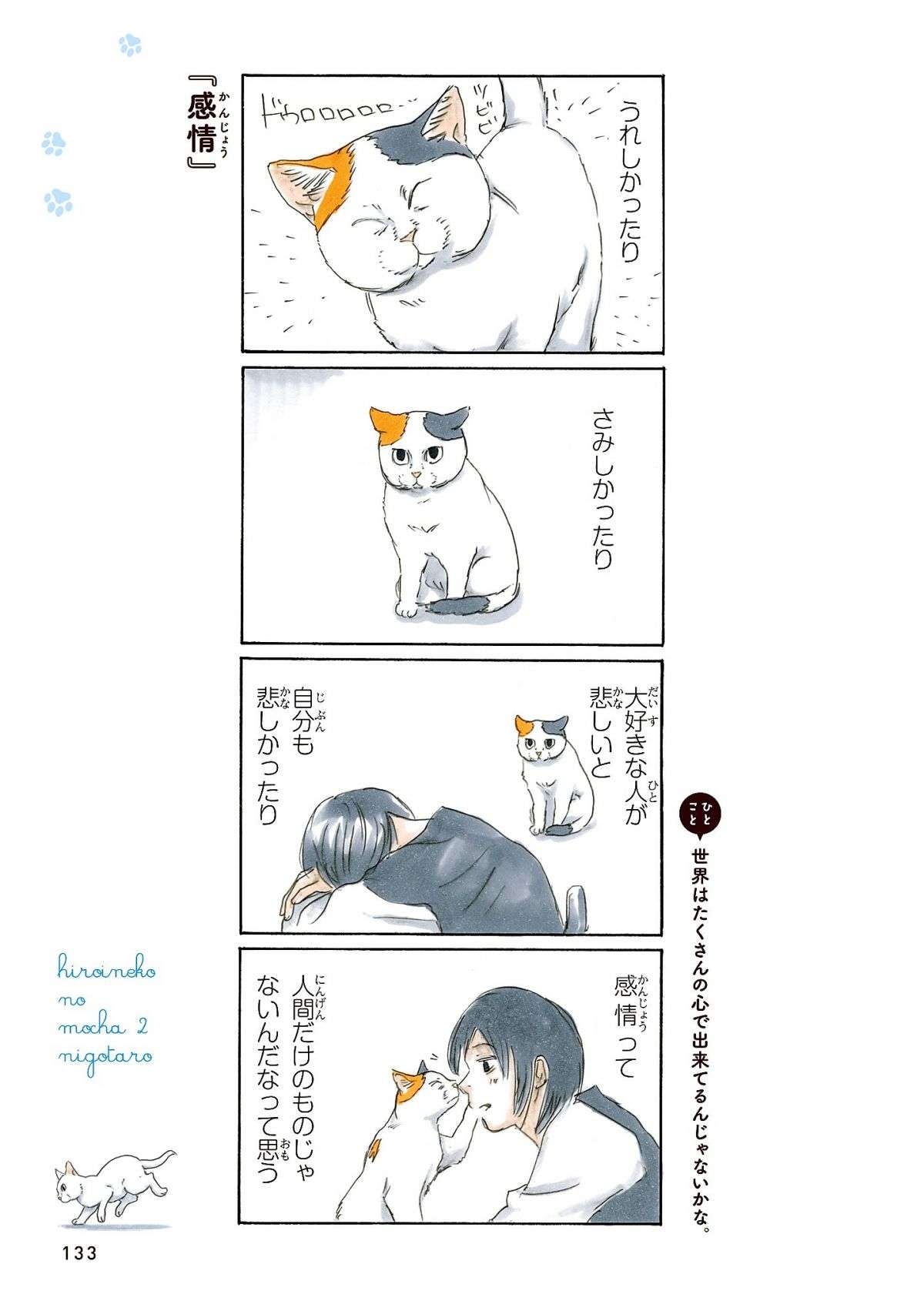 「まあ、やってしまう」猫のコレは測ってしまいますよね／拾い猫のモチャ 22.jpg