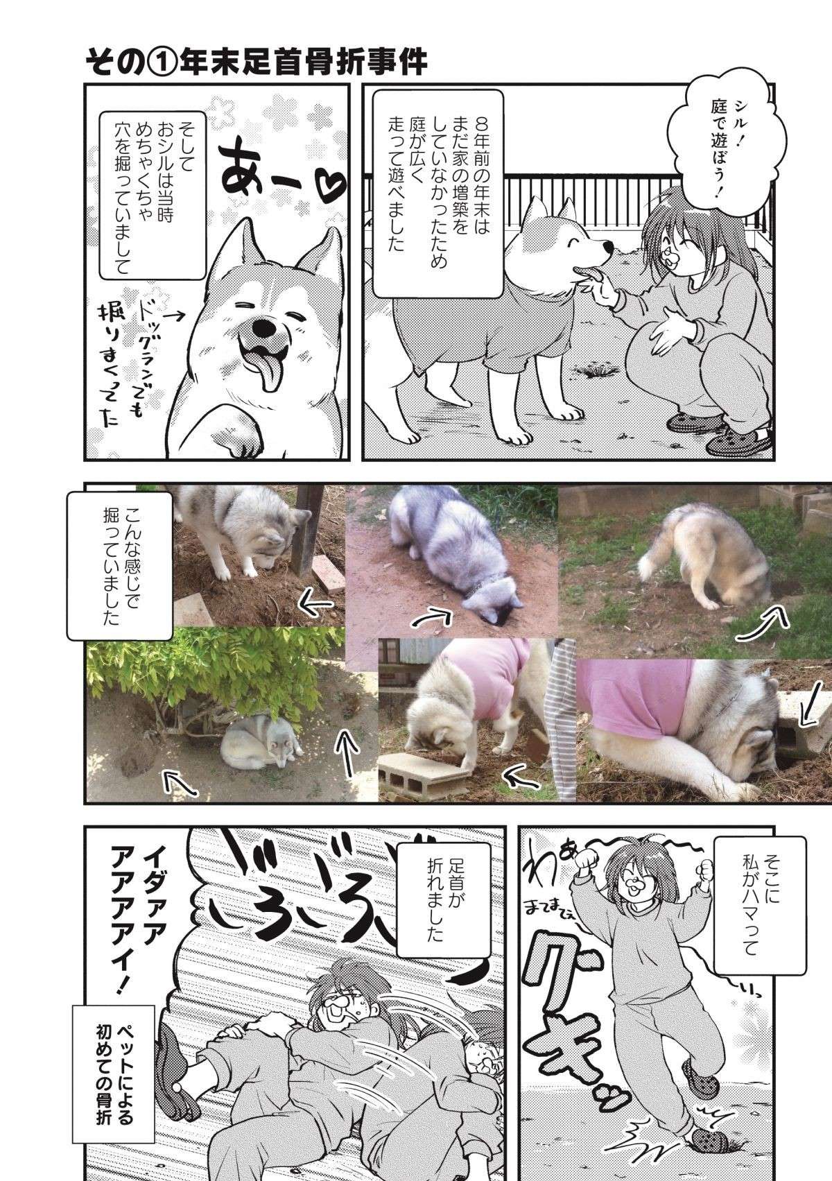 骨折回数18回・23カ所!? 猫と犬の飼い主・ハマジさんのペット絡みの骨折事件簿／猫とハスキーとハマジ2 ２.jpg