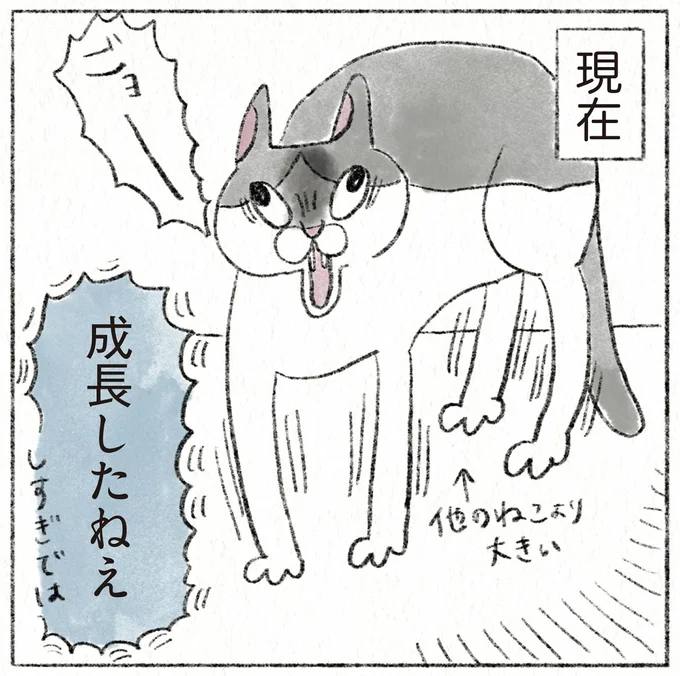 『うちの猫は今日も塩対応』 55.webp